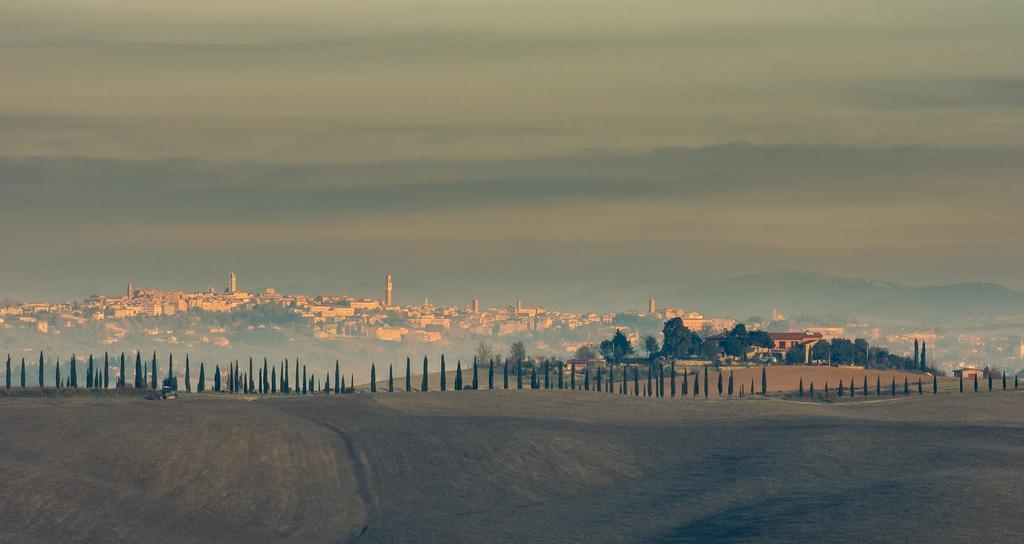 Agriturismo Colombino Сієна Екстер'єр фото